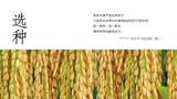 幻灯片8.JPG