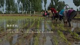 幻灯片9.JPG